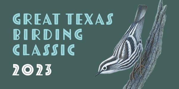 Great TExas Birding Classic Nearing!